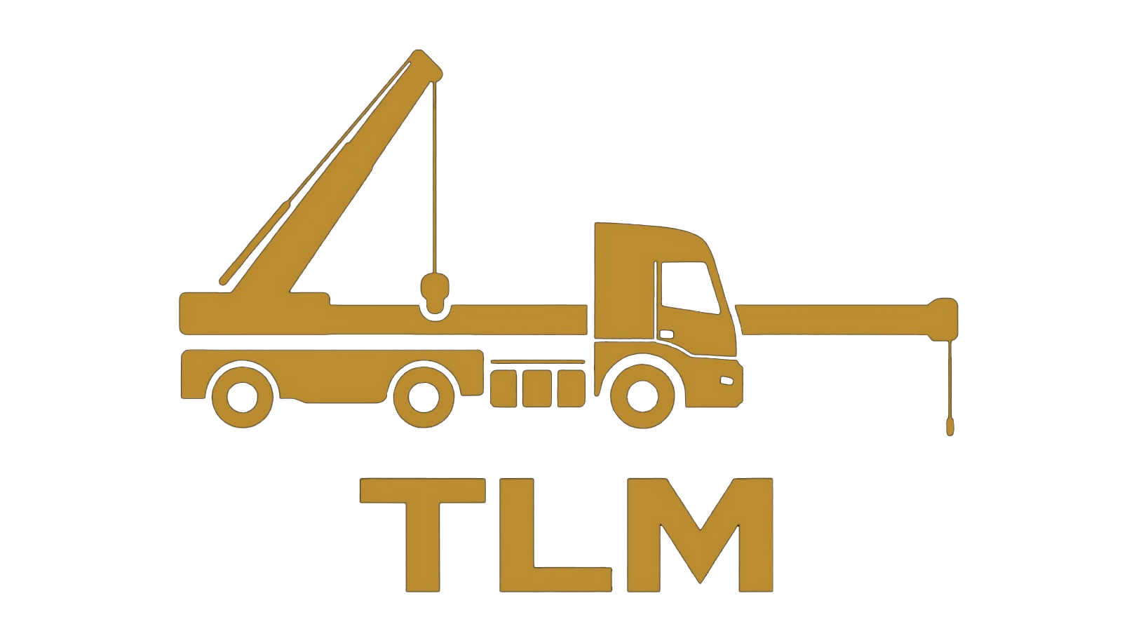 TLM Transportes y Logística del Meta